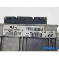 Peugeot - 406 - Computer Motormanagement