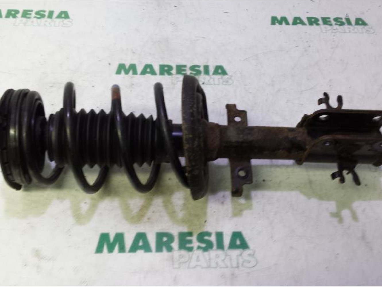 Renault - Laguna - Front shock absorber rod, right