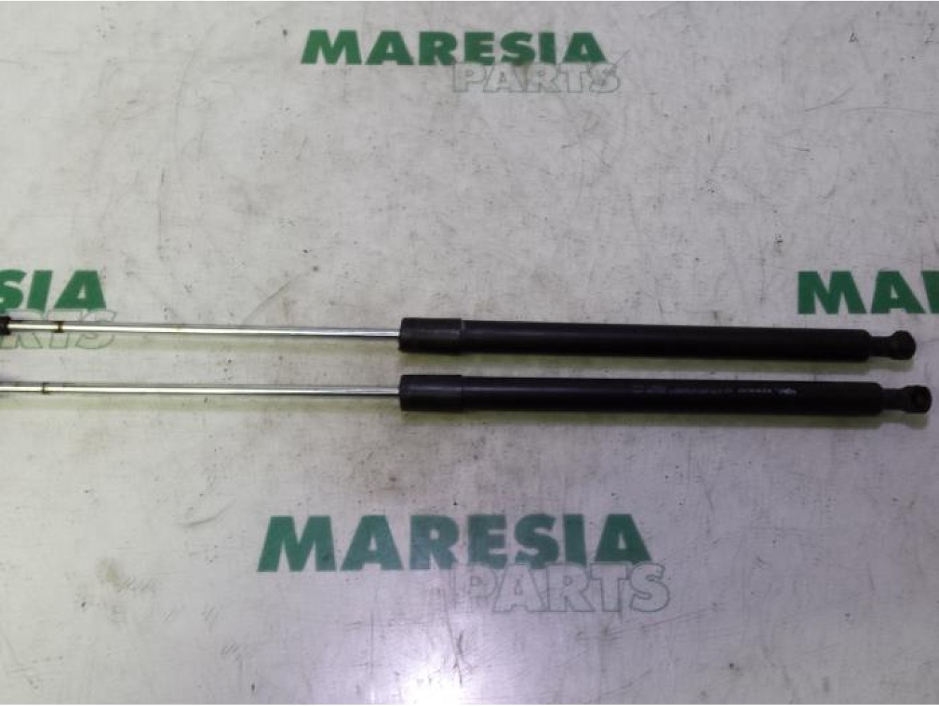 Renault - Laguna - Set Gasdämpfer Heckklappe