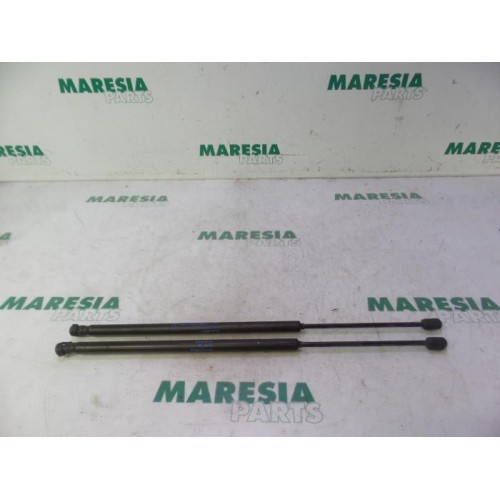 Citroen - C4 Picasso - Set of tailgate gas struts
