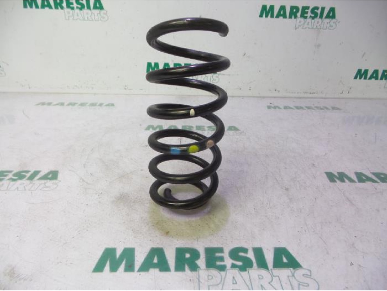Renault - Clio - Rear coil spring