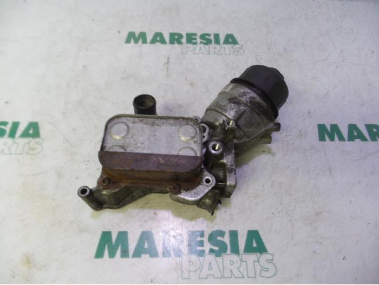 Fiat - Punto - Oil filter holder