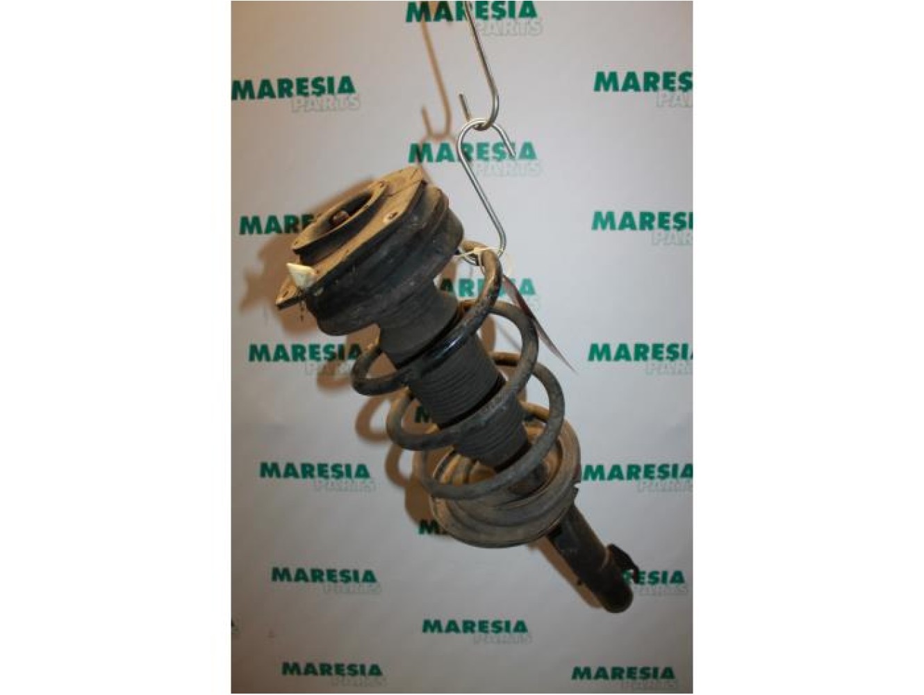 Renault - Megane Scenic - Front shock absorber rod, left