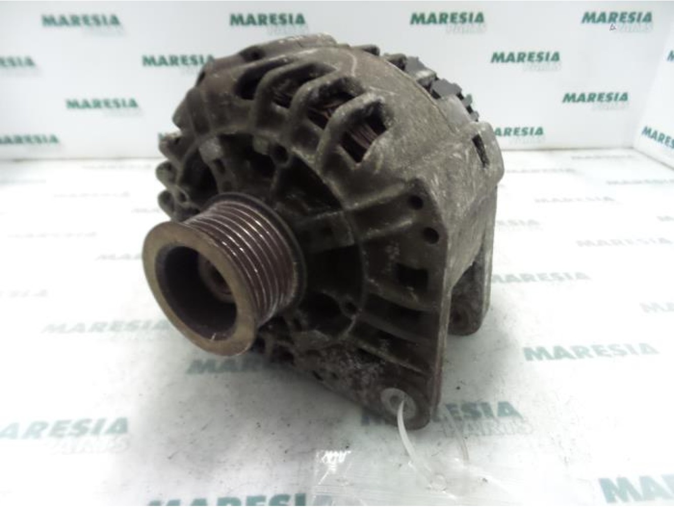 Renault - Megane Scenic - Dynamo