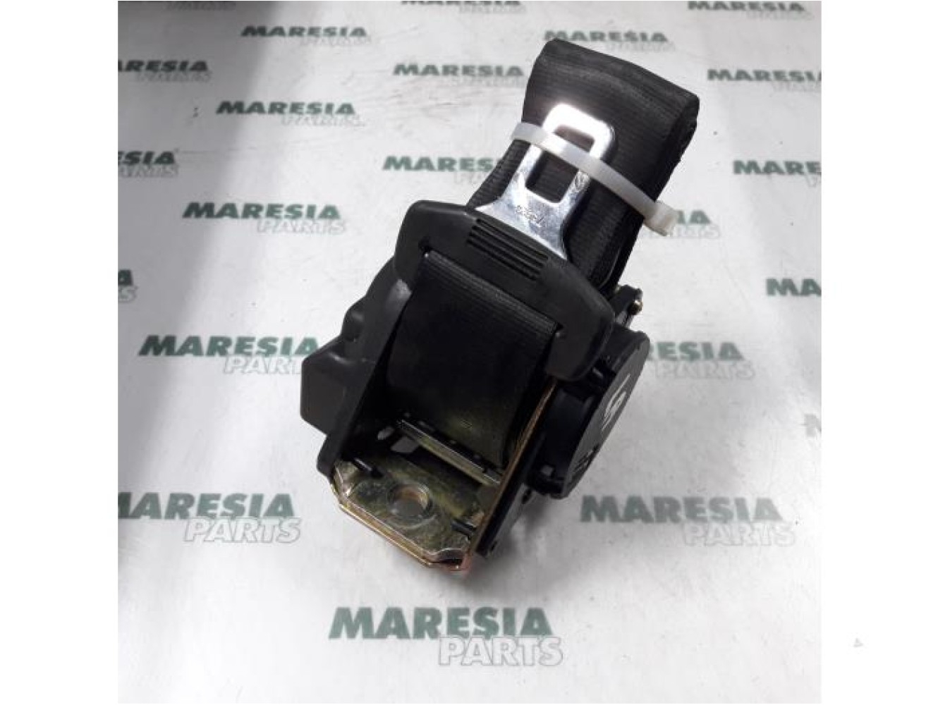 Alfa Romeo - 166 - Sicherheitsgurt links hinten