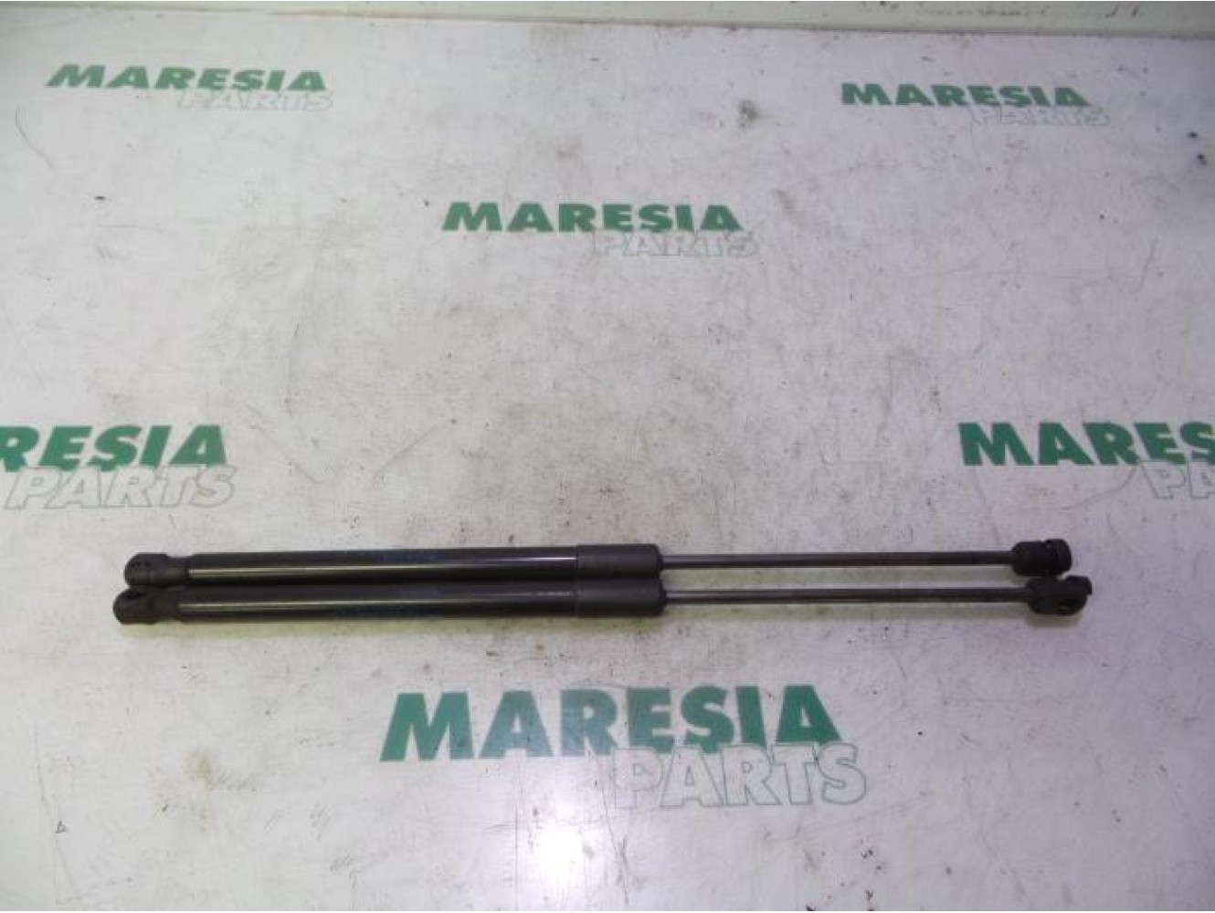 Renault - Megane - Set of tailgate gas struts