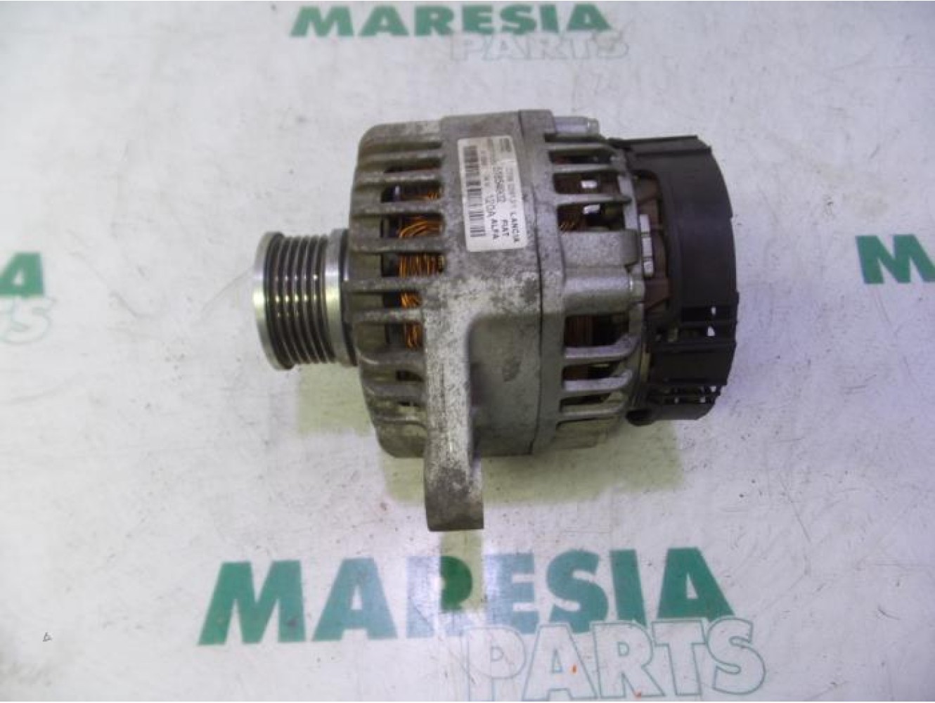 Fiat - Ducato - Dynamo