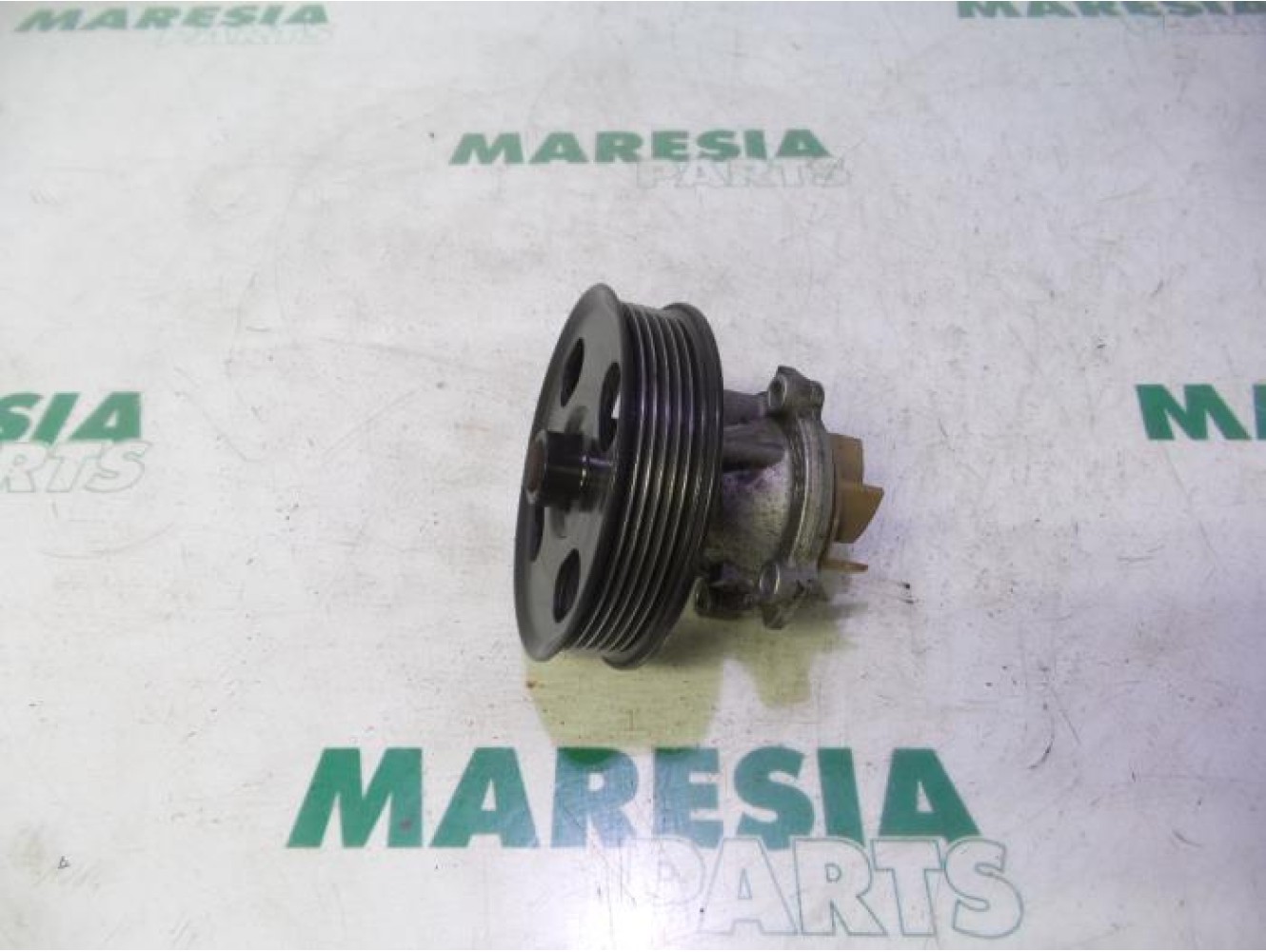 Fiat - Punto - Water pump