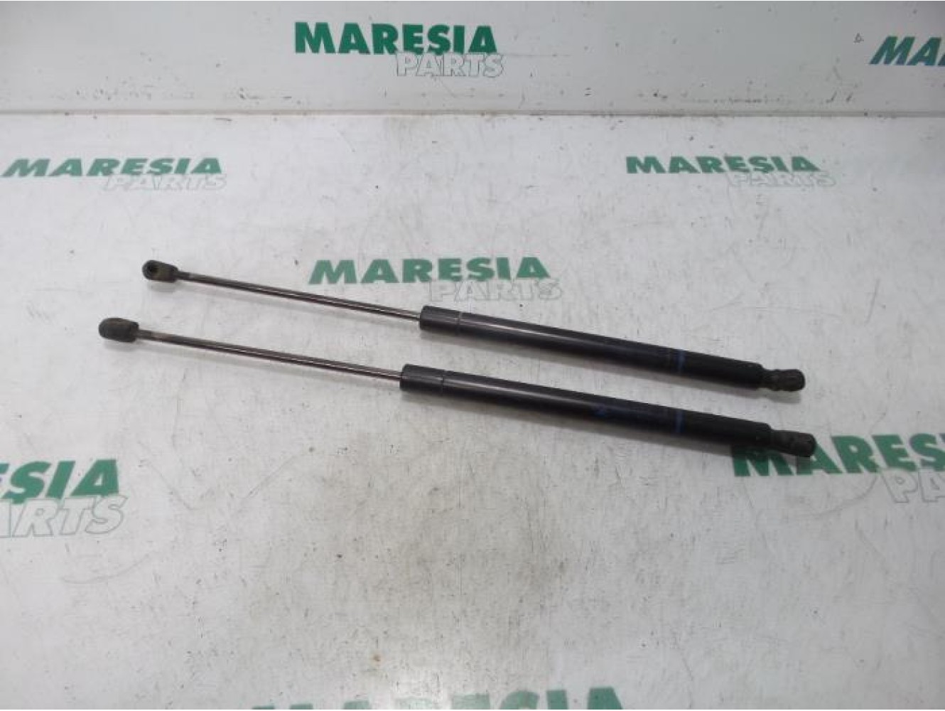 Renault - Megane - Set of tailgate gas struts