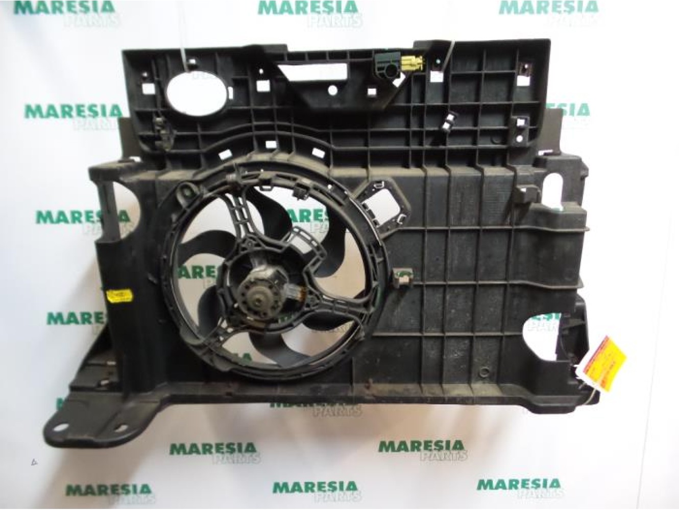 Fiat - Stilo - Koelvin Motor