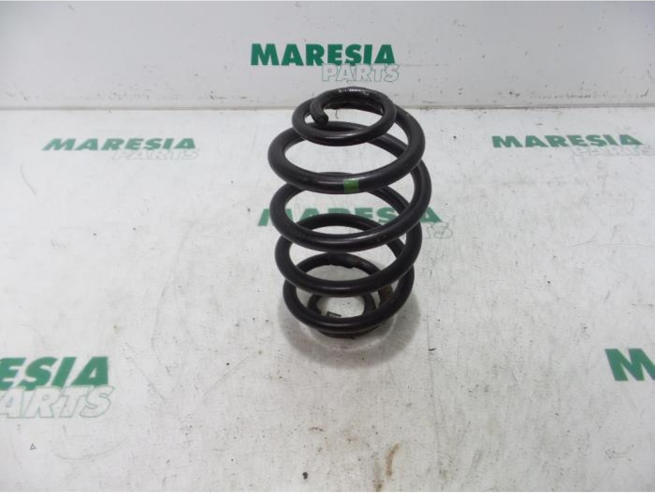 Renault - Clio - Rear coil spring