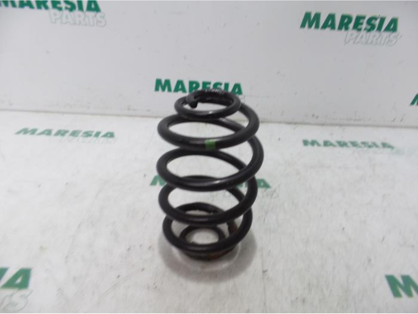 Renault - Clio - Rear coil spring
