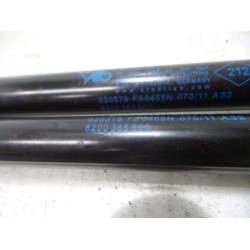 Renault - Twingo - Set of tailgate gas struts