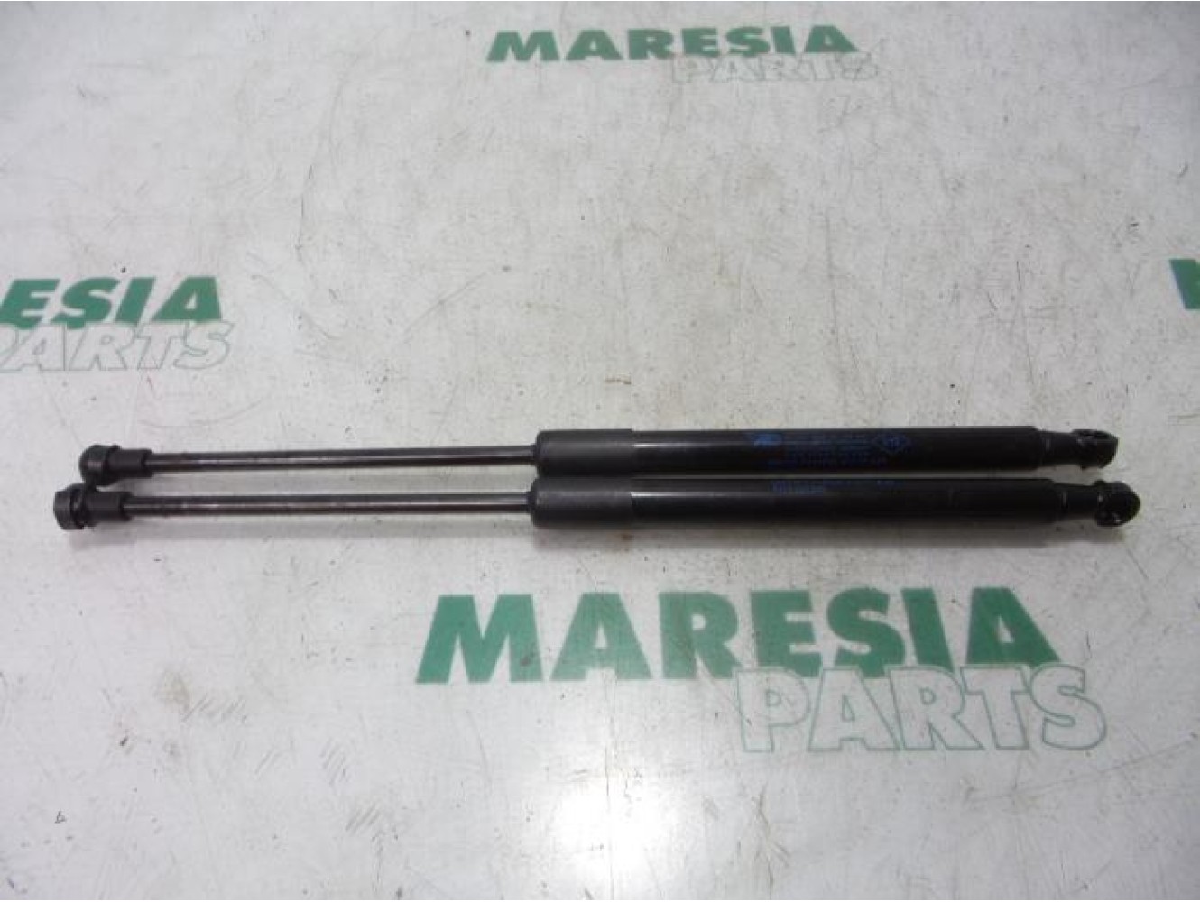 Renault - Twingo - Set of tailgate gas struts