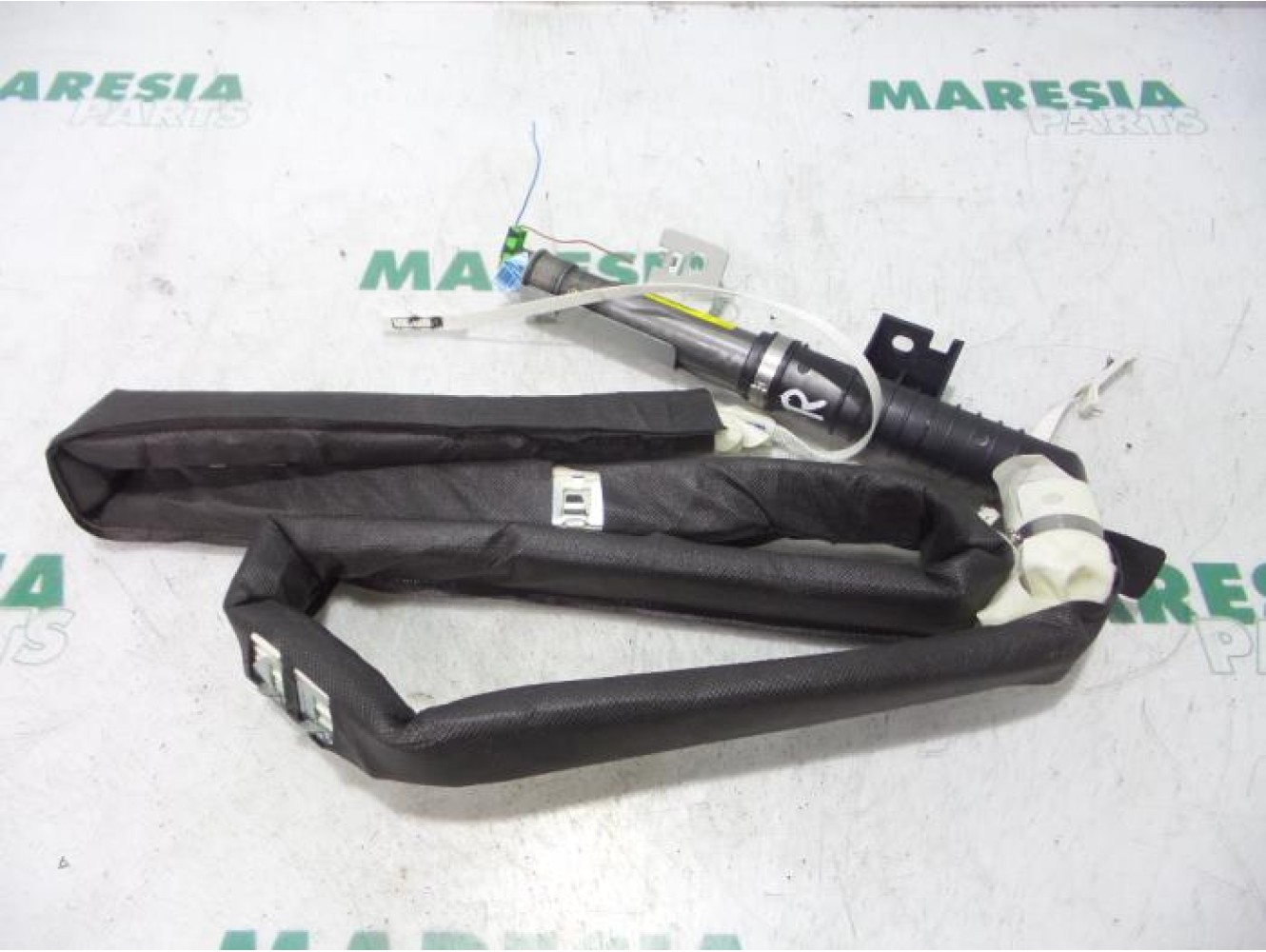 Renault - Megane Scenic - Airbag Himmel rechts