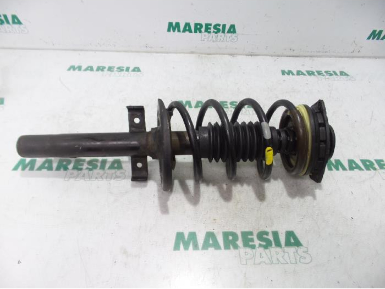 Renault - Megane Scenic - Front shock absorber rod, right