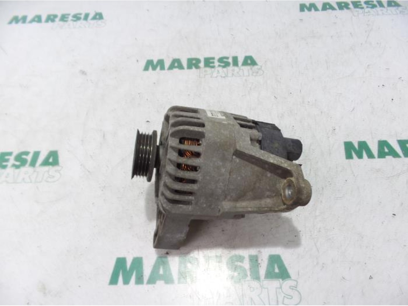 Fiat - Punto - Dynamo