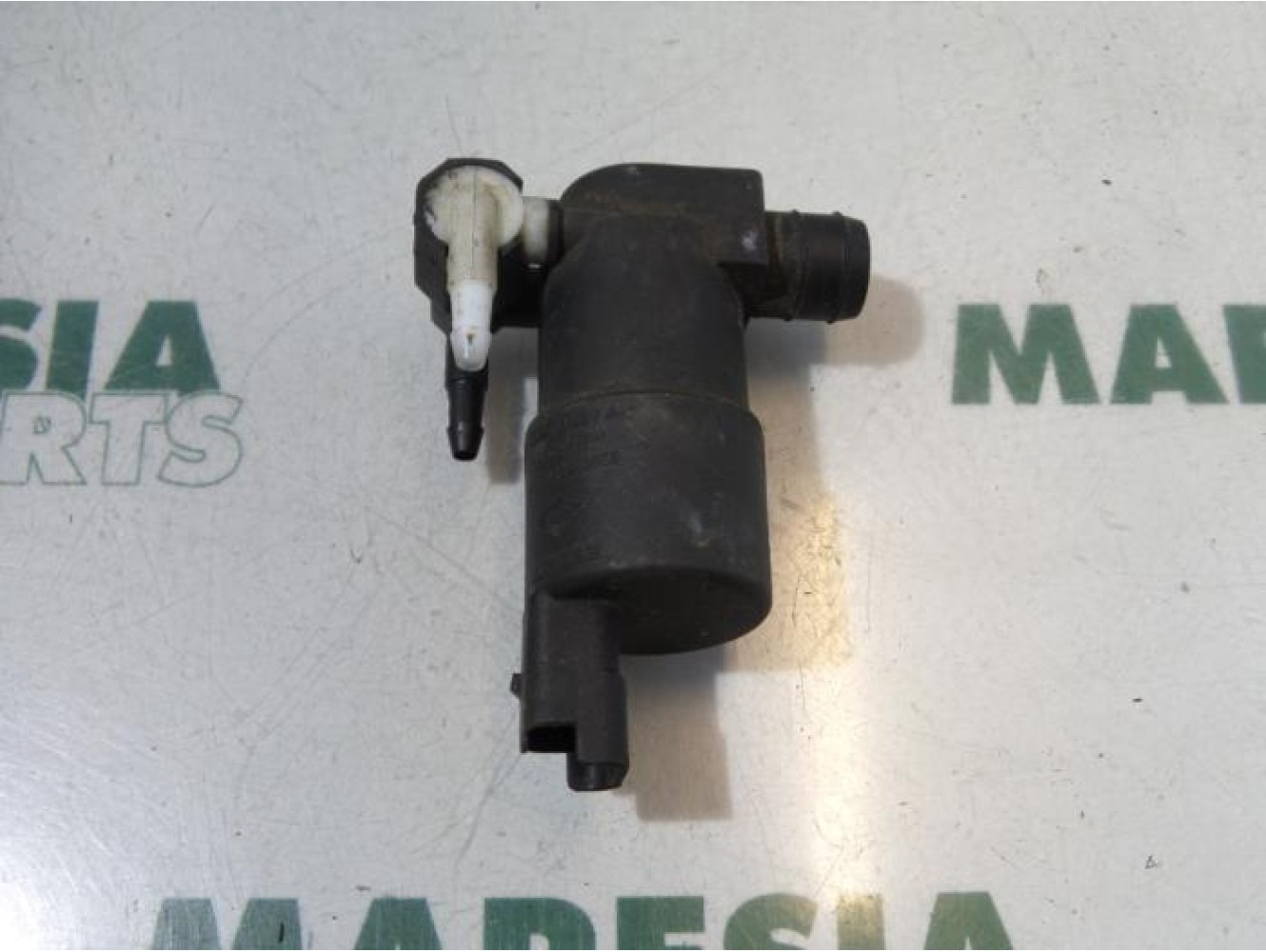 Renault - Laguna - Scheibensprüherpumpe vorne