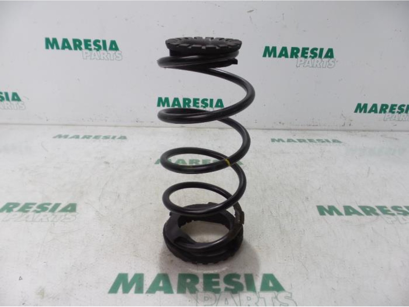 Fiat - Punto - Rear coil spring