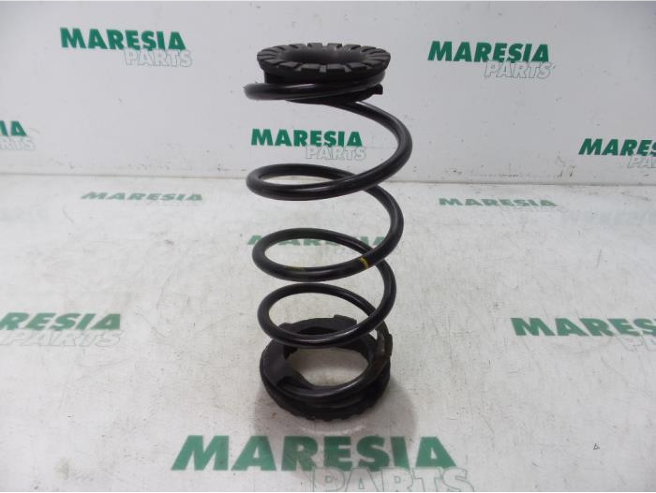 Fiat - Punto - Rear coil spring
