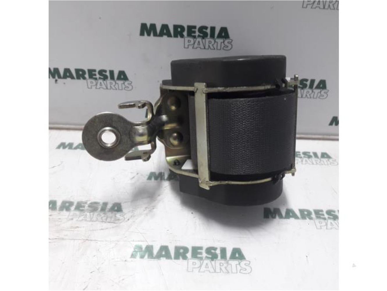 Renault - Megane Scenic - Front seatbelt, right