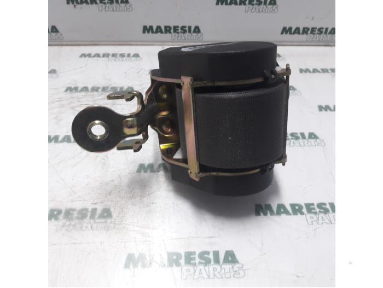 Renault - Megane Scenic - Front seatbelt, right