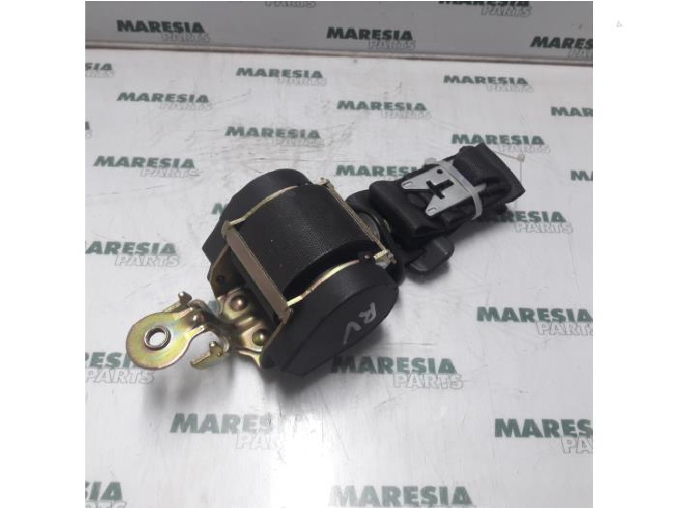 Renault - Megane Scenic - Front seatbelt, right