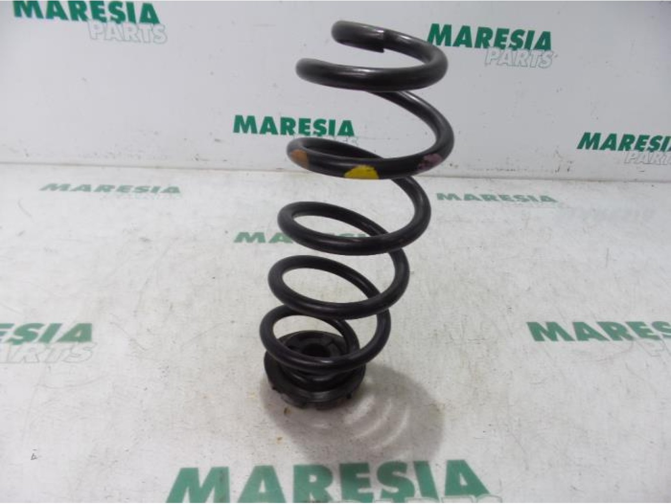 Renault - Twingo - Rear coil spring