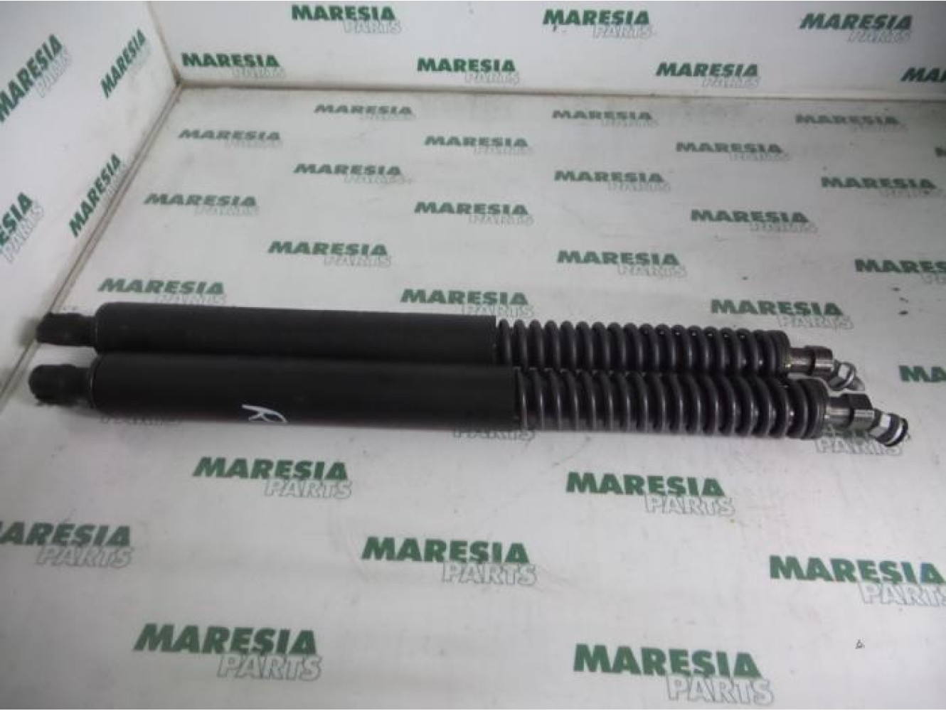 Peugeot - 307 - Set of tailgate gas struts