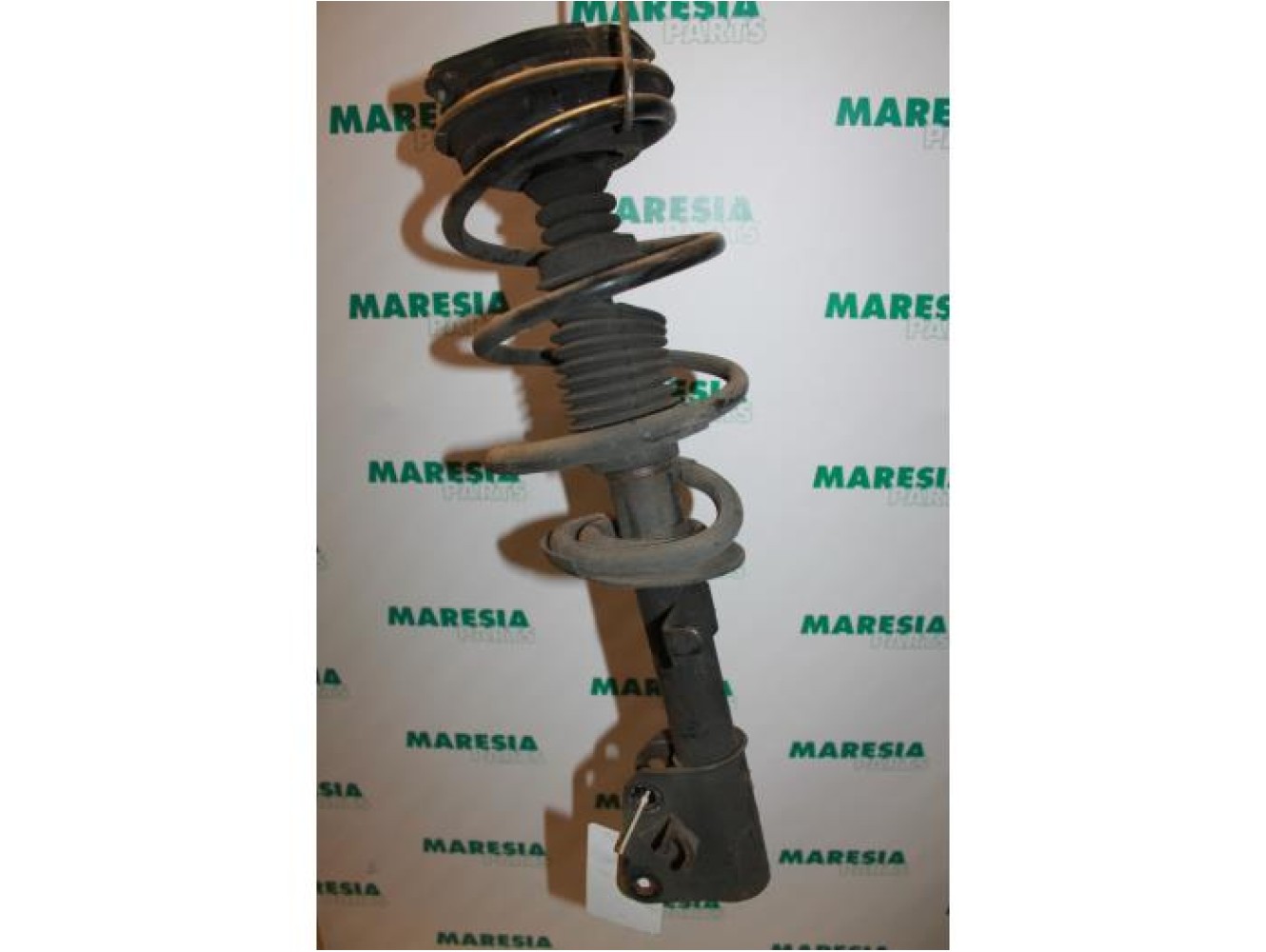 Renault - Laguna - Front shock absorber rod, right