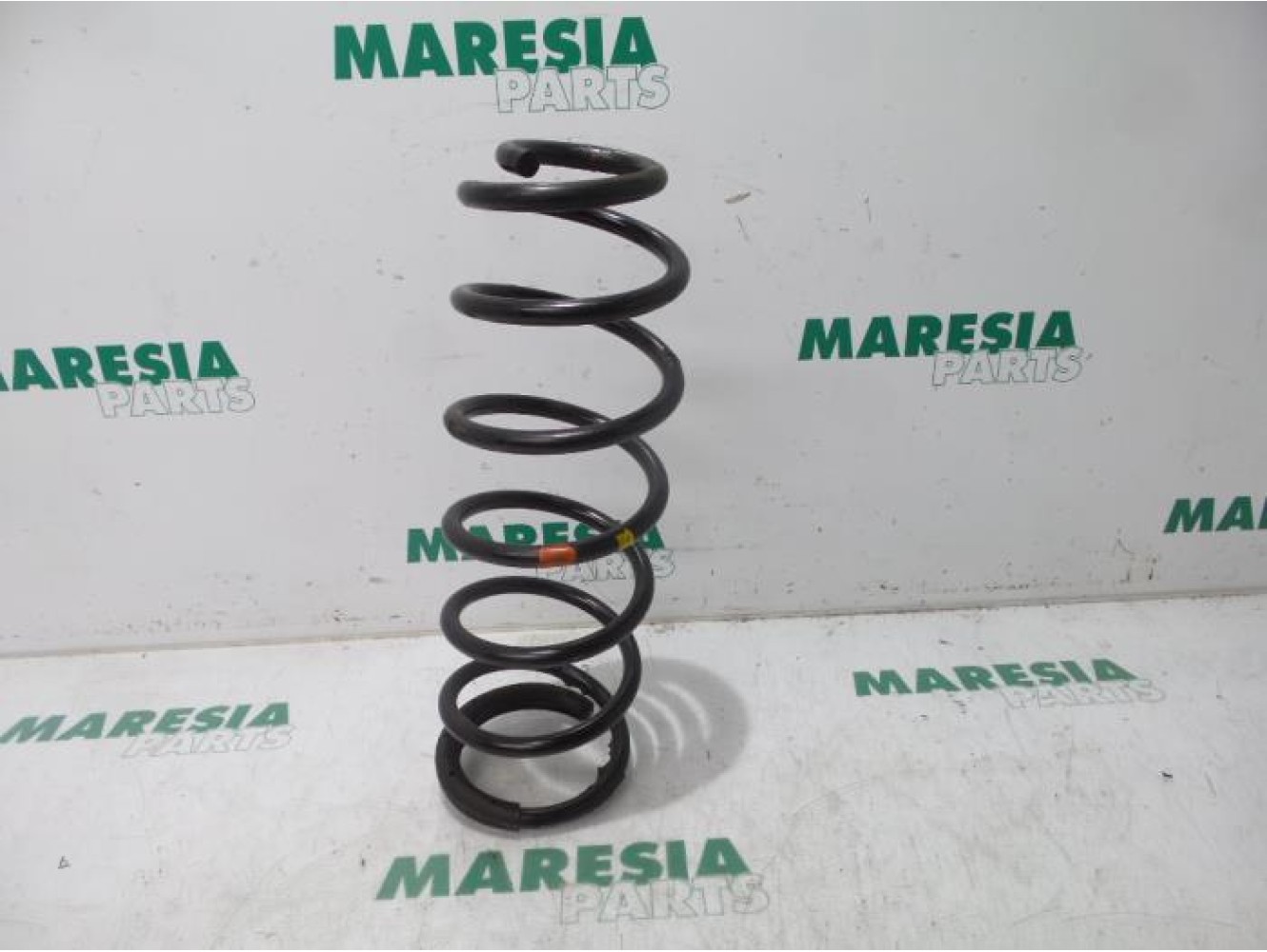 Citroen - C8 - Rear coil spring