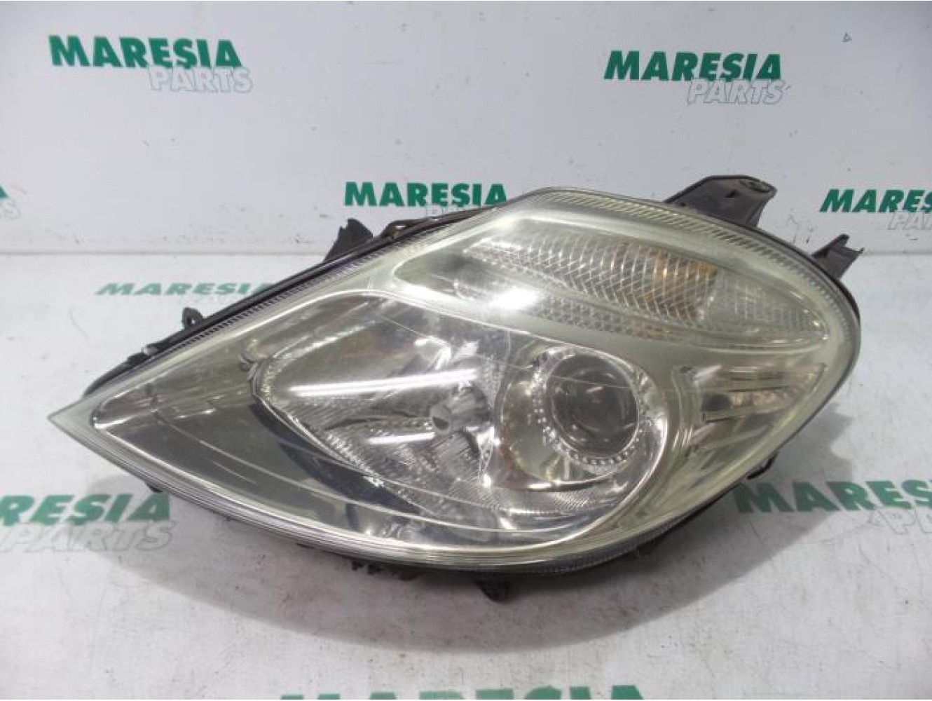 Citroen - C8 - Scheinwerfer links