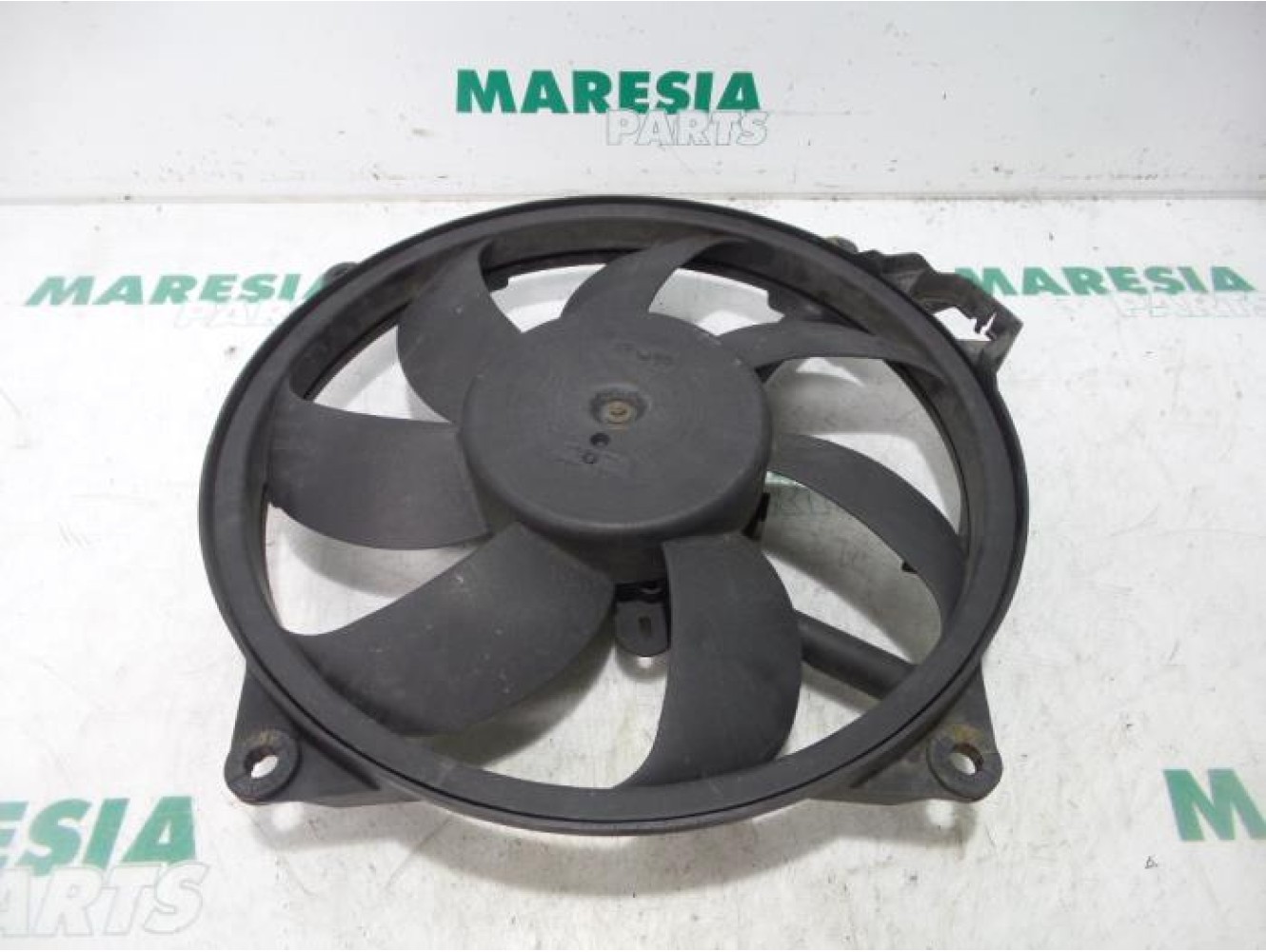 Renault - Megane Scenic - Kühlgebläse Motor