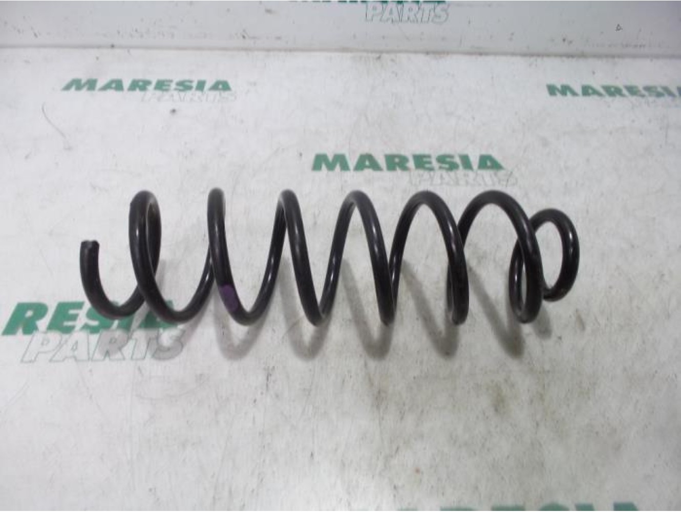 Renault - Megane Scenic - Rear coil spring