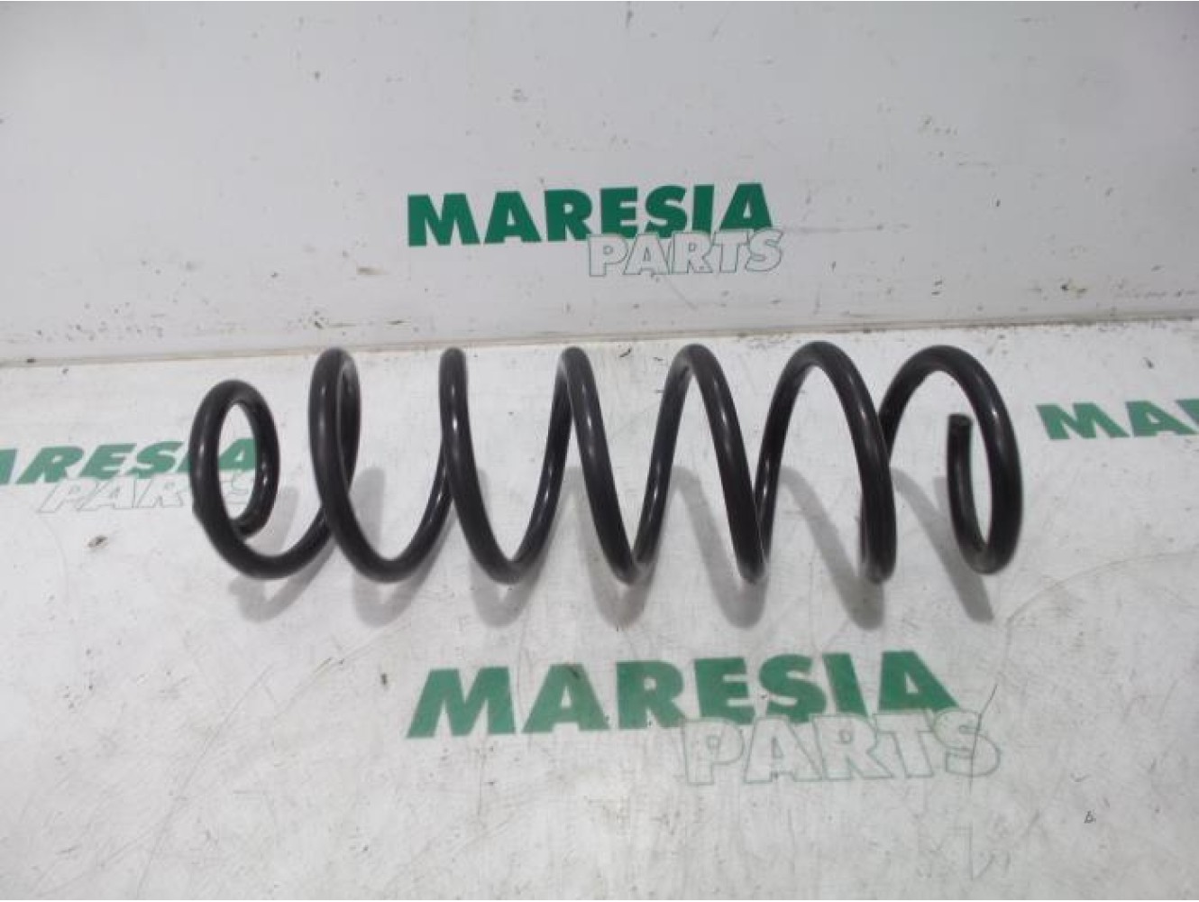 Renault - Megane Scenic - Rear coil spring
