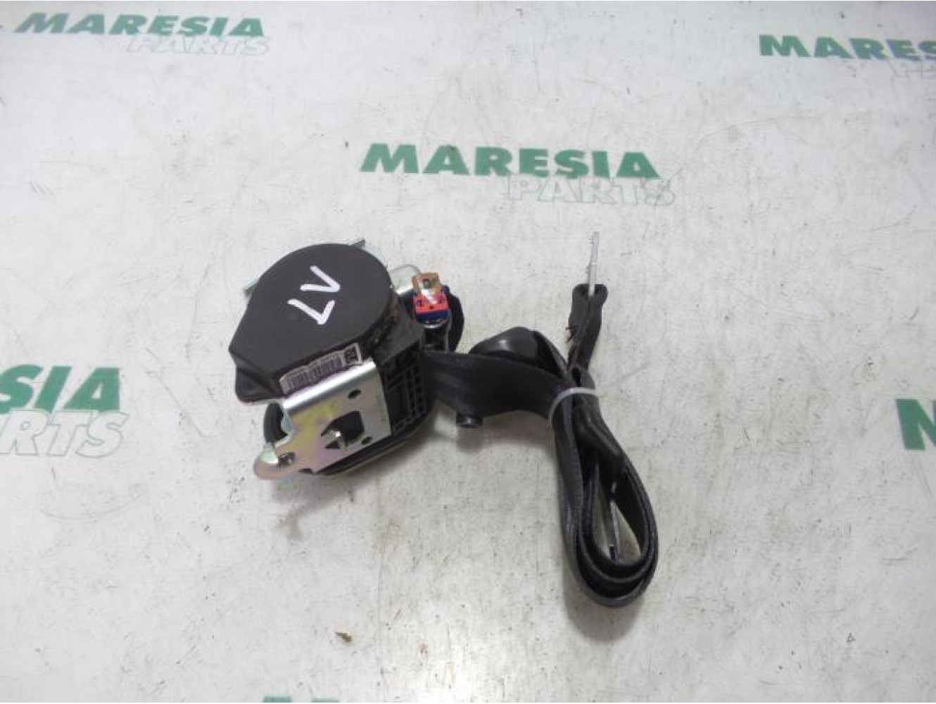 Renault - Megane Scenic - Sicherheitsgurt links vorne