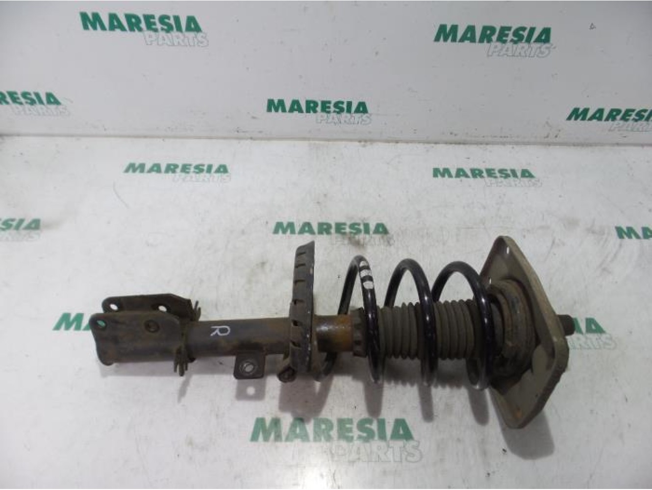 Citroen - Jumpy - Front shock absorber rod, right