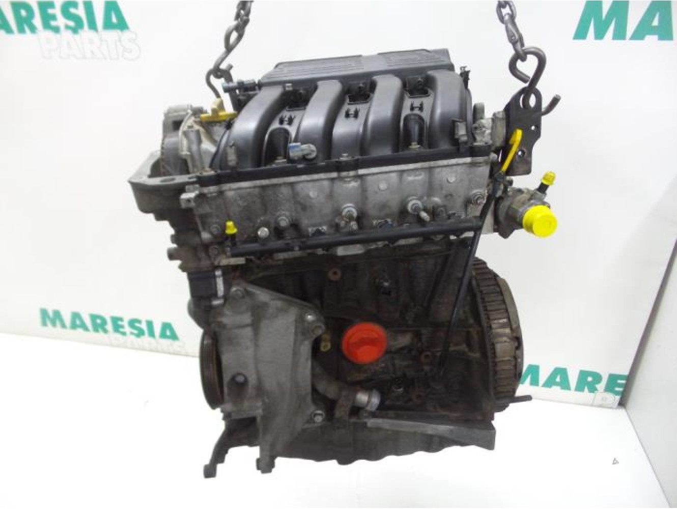 Renault - Trafic - Motor