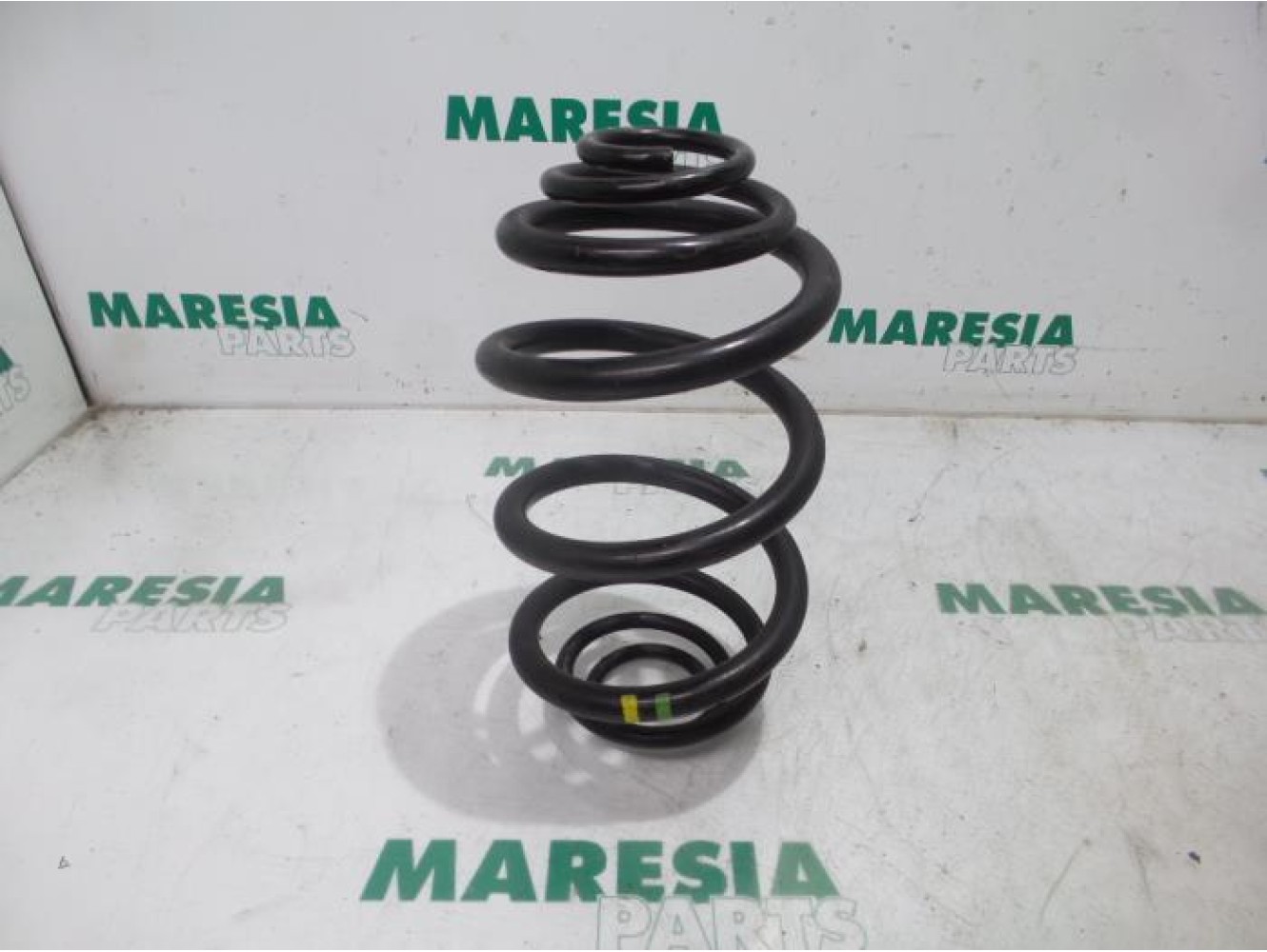 Renault - Trafic - Rear coil spring