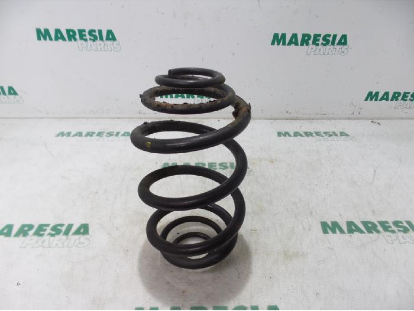Renault - Trafic - Rear coil spring