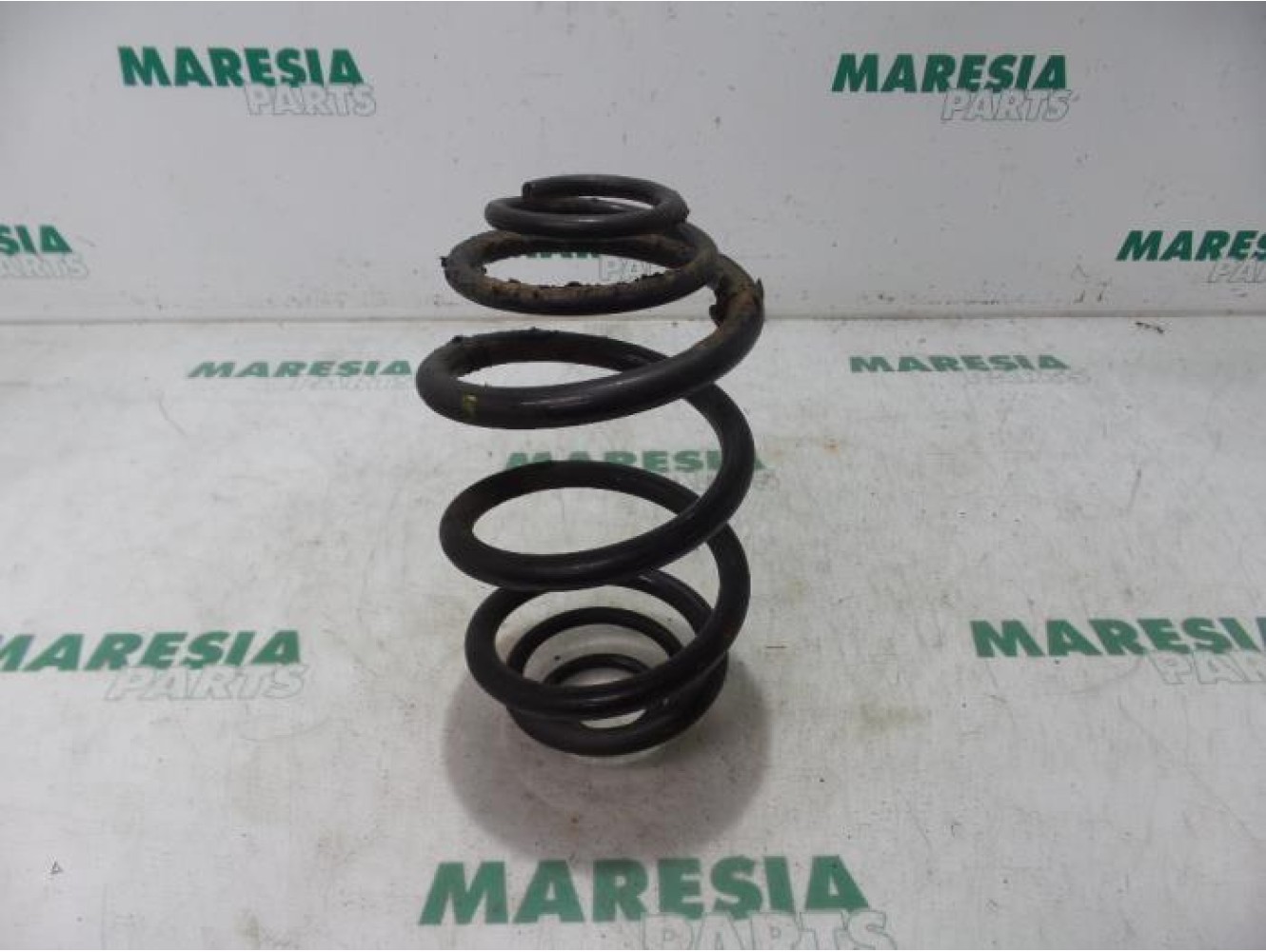 Renault - Trafic - Rear coil spring