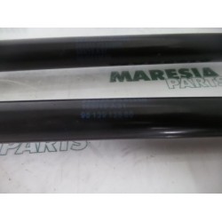 Citroen - C4 Cactus - Set of tailgate gas struts