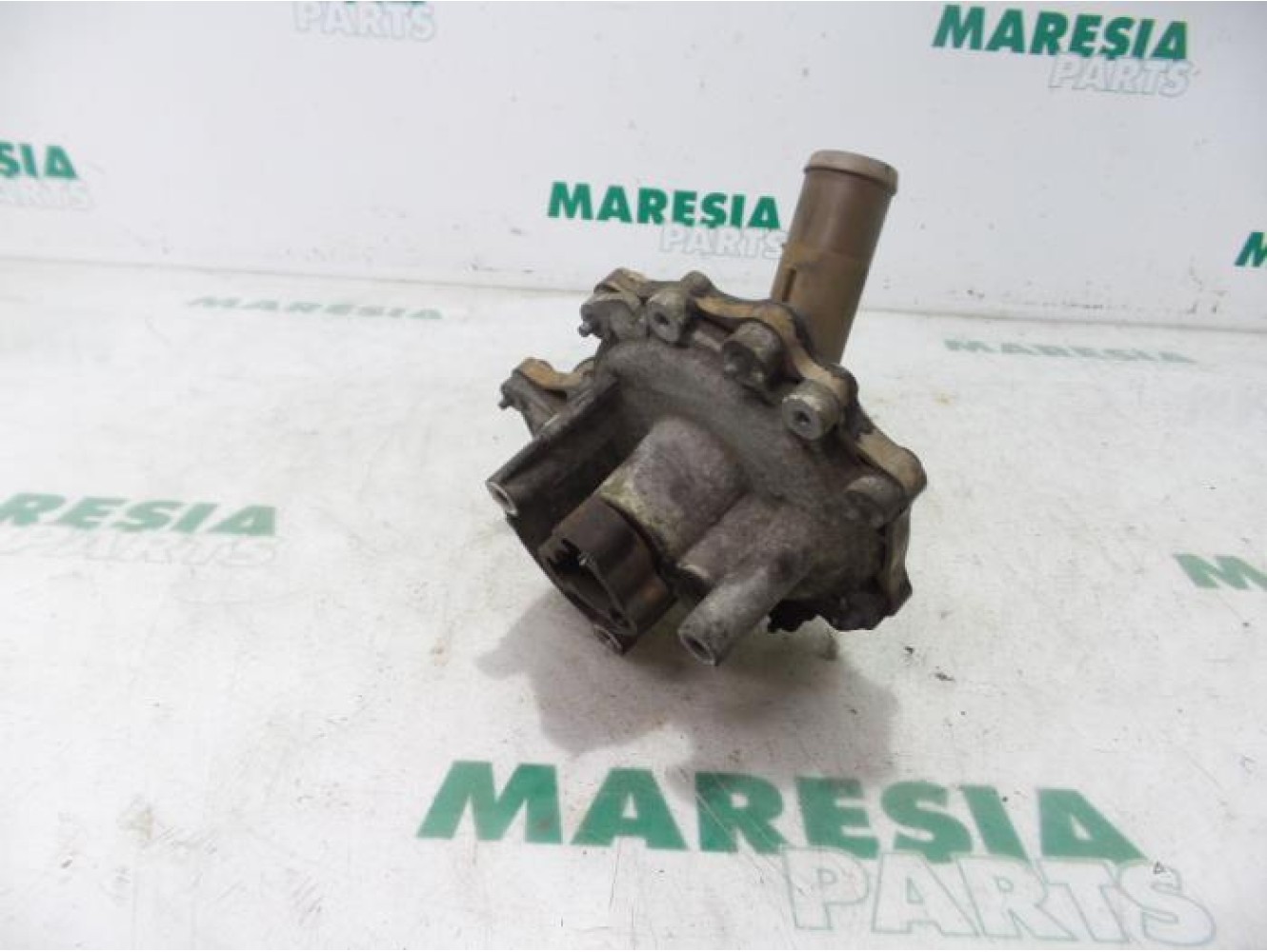 Peugeot - Boxer - Wasserpumpe