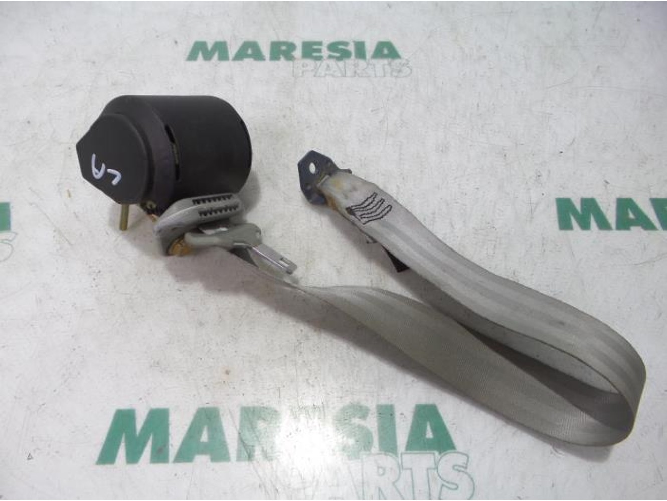 Renault - Twingo - Sicherheitsgurt links hinten