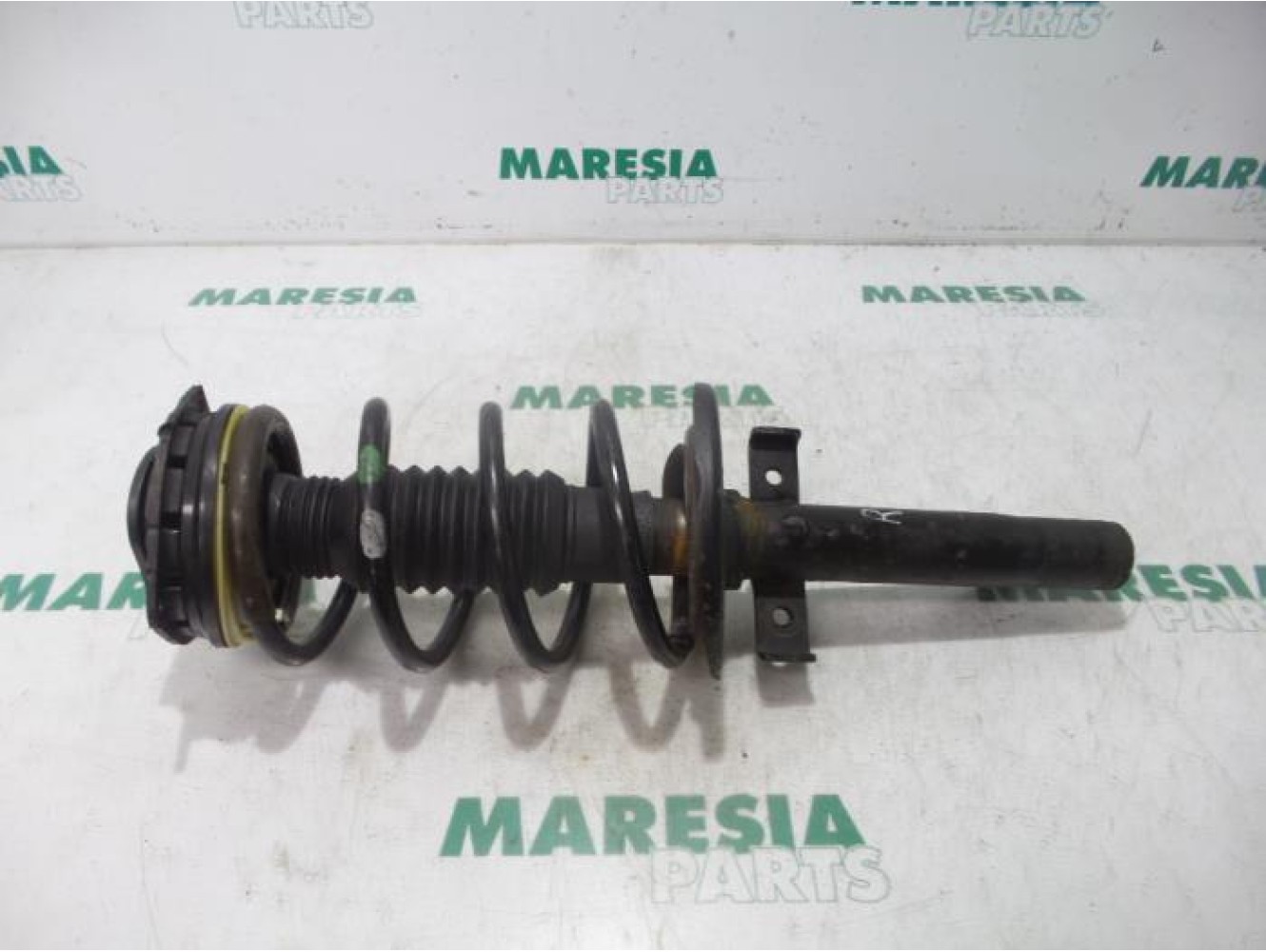 Renault - Megane Scenic - Front shock absorber rod, right