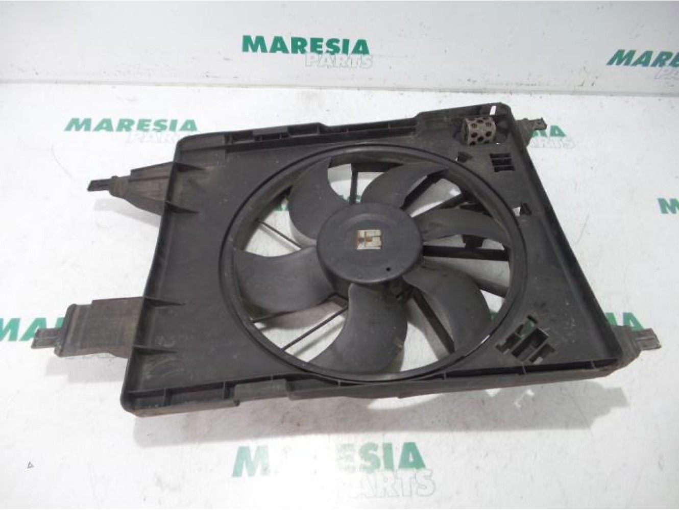 Renault - Megane Scenic - Kühlgebläse Motor
