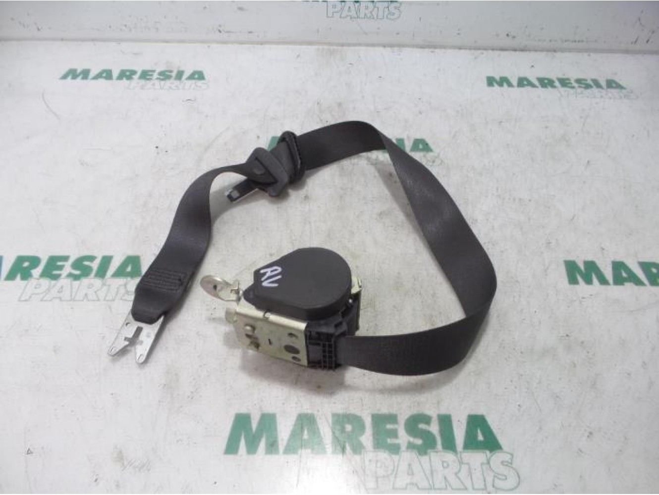 Renault - Megane Scenic - Front seatbelt, right