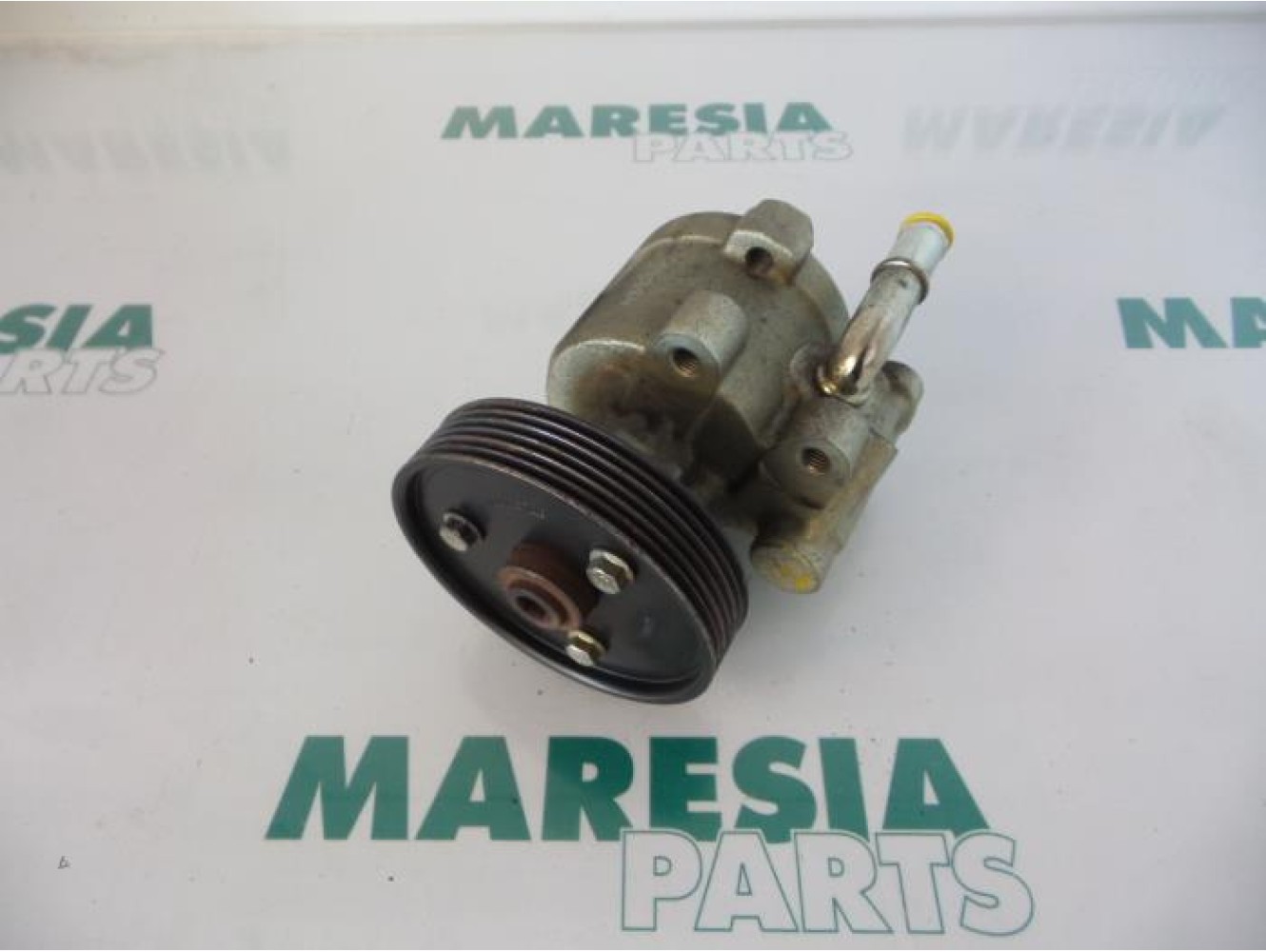 Renault - Megane Scenic - Power steering pump