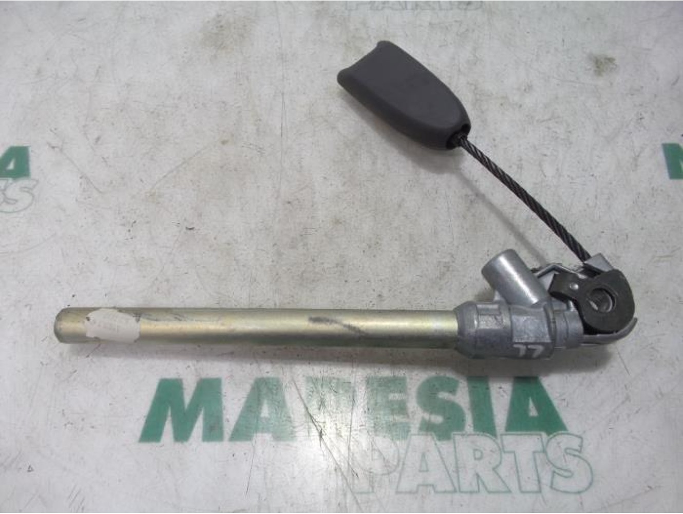 Renault - Megane Scenic - Gurtsrammer links