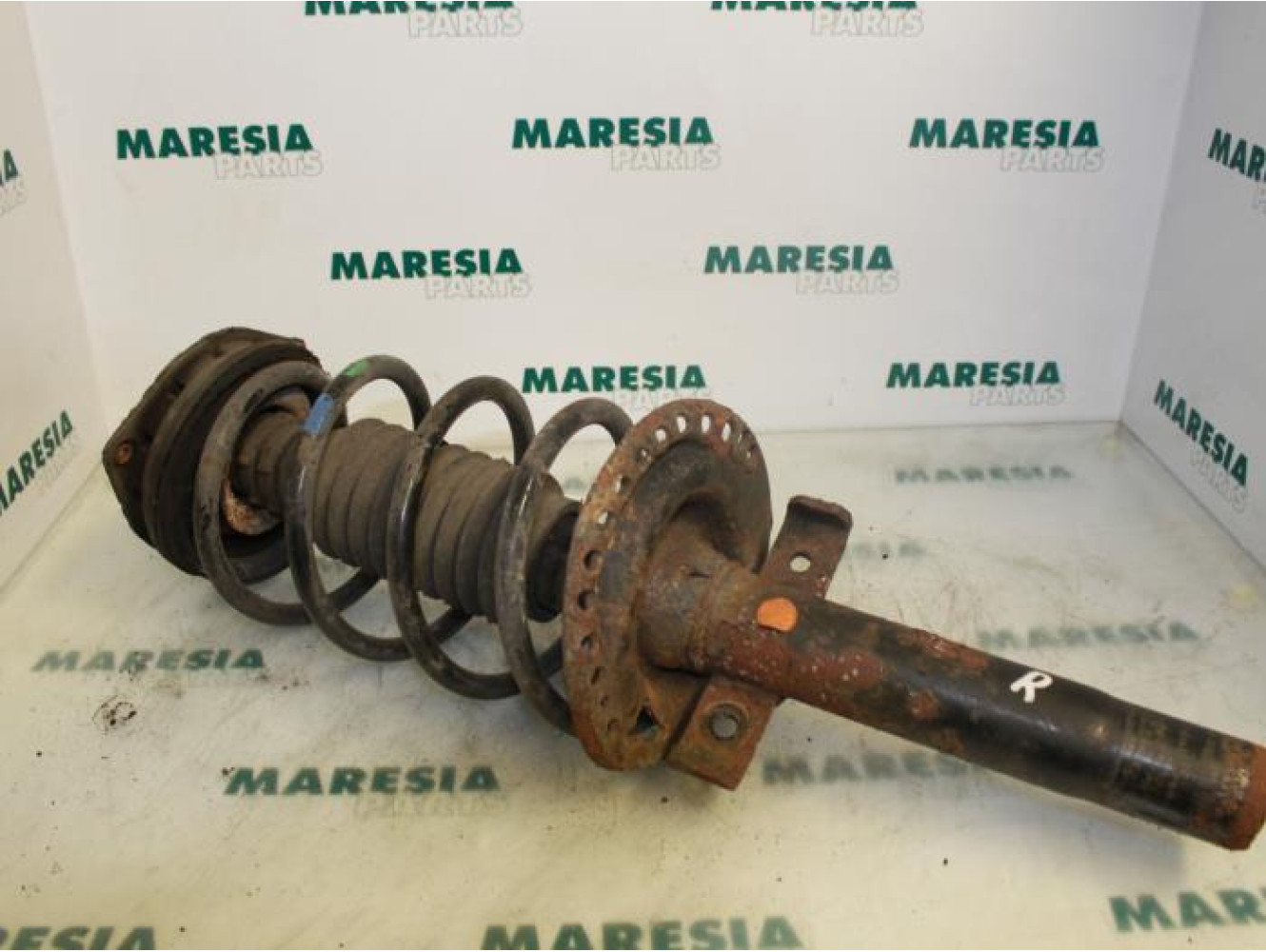 Renault - Megane - Front shock absorber rod, right